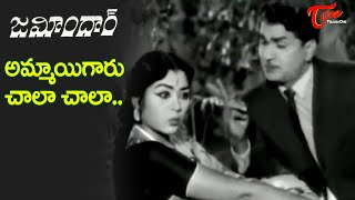 Ammayigaru Chala Chala Song  Zamindar movie  ANR Krishna Kumari Superb Song  Old Telugu Songs [upl. by Neuberger]