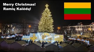 Lithuania Vilnius Christmas Tree 2024 Vilniaus Kalėdų eglė 2024 Різдвяна ялинка Вільнюса 2024 [upl. by Kimon]