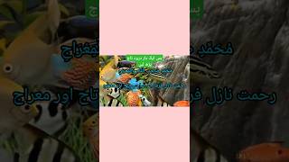 Darood e Tajدرود تاج کا Beautiful Voice Darood e Tajshorts daroodetaj quran [upl. by Teak]