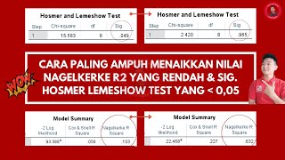 Cara paling ampuh menaikkan nilai Nagelkerke R Square dan Hosmer Lemeshow test data sekunder Part 1 [upl. by Bartholomeo]