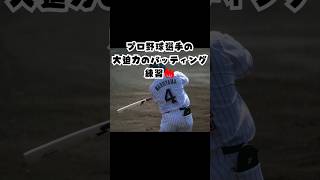 プロ野球選手の迫力あるバッティング練習を球場で見よう！！✨⚾ shorts 野球 swallows プロ野球 バッティング [upl. by Ecirual]