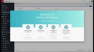 NetBackup CloudPoint AWS Setup and Configuration [upl. by Yelime]