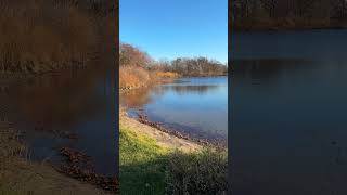 Moore Park in Muskegon County offers lakefront views with space for picnicking [upl. by Schouten]