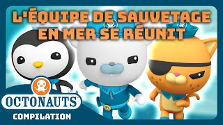 Octonauts  🐻‍❄️😼🐧 Léquipe de sauvetage en mer se réunit  🌊  Compilation [upl. by Skurnik909]