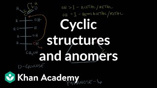 Carbohydrates  cyclic structures and anomers  Chemical processes  MCAT  Khan Academy [upl. by Naivat]