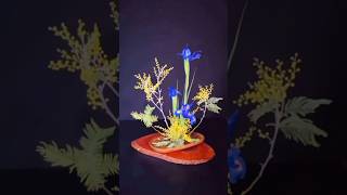 Blue Dutch Iris and Yellow Mimosa Floral Arrangement Ideas [upl. by Conlen810]