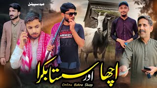 Qurbani Ka Bakra  Awareness message  Sasta Bakra  Sami Babu Stories [upl. by Morril]