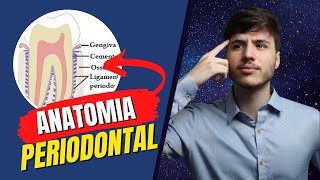 Introdução  Anatomia Periodontal  Periodontia [upl. by Orelle]