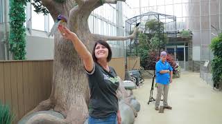 Owls Eye View Episode 6  National Aviary [upl. by Aset464]