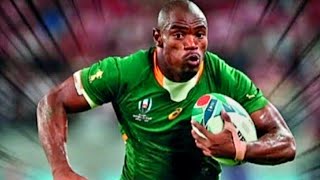 Makazole Mapimpi Tribute  Unbelievable Finisher in Springbok Rugby 🏉 rugby motivation [upl. by Juno]