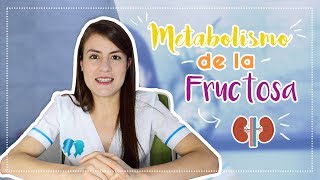 Metabolismo de la fructosa  Nutrigami [upl. by Berkman]