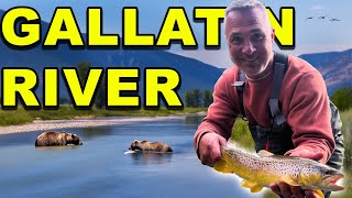 Fishing the GALLATIN RIVER in Montana Big Trout [upl. by Ardnuasal]