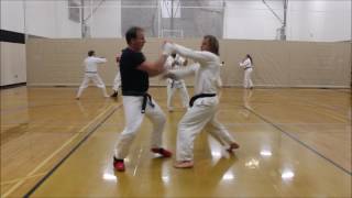 Okinawan Shurite Karate Sparring [upl. by Towne579]