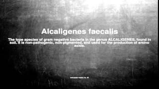 Medical vocabulary What does Alcaligenes faecalis mean [upl. by Anirahs562]