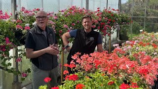 A Visit to Fibrex Nursery UK [upl. by Durrell]