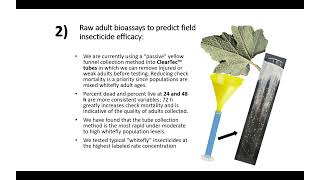 22 SE Regional Vegetable Update on Insecticide Efficacy and Resistance Management in Whitefly Affec [upl. by Eenahc]