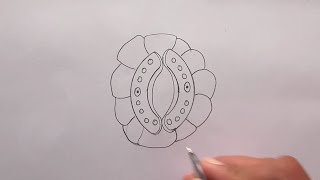 😇 How To Draw Stomata ❤️ fineartsguruji [upl. by Ternan]