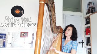 piledriver waltz  arctic monkeys harp cover [upl. by Fablan430]