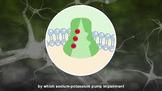 Deep Isoflurane Anesthesia is Associated with Alterations in Ion Homeostasis [upl. by Assilem]