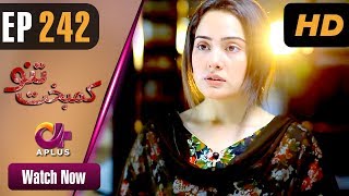 Drama  Kambakht Tanno  EP 242  Aplus  Tanvir Jamal Sadaf Ashaan  C2U1 [upl. by Gena]