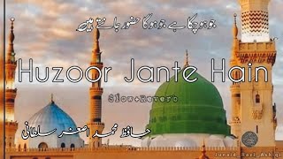 hudood e tairesidra huzoor janty hn beautiful urdu naat by Hafiz Muhammad Asghar Sultani [upl. by Aigneis62]