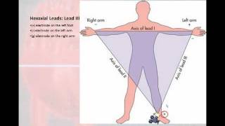 12 Lead Interpretation Part 1 Introduction to the 12 Lead EKG [upl. by Bauer338]