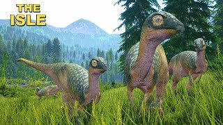 Manada de Dryosaurus Pigmeus Prelude Realism  The Isle  Gameplay 133 [upl. by Ramyar]