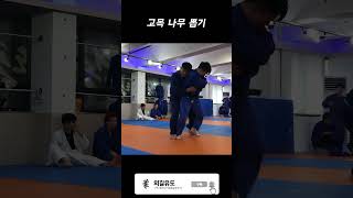 유도인의 고목 나무 뽑기 훈련 [upl. by Waldman232]