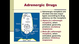 Adrenergic drugs  part 2 [upl. by Haneeja]