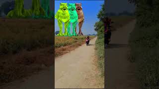 Real T Rex Jurassic World park In today viral animals jurassicworld ytstudioRKdinosaurofficial [upl. by Panter]