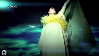 坂本真綾「MAAYA BEST CLIPS」ダイジェスト [upl. by Barolet]