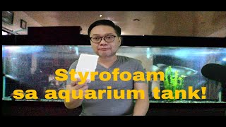 Styrofoam kailangan ba sa aquarium glass tank [upl. by Delphinia]