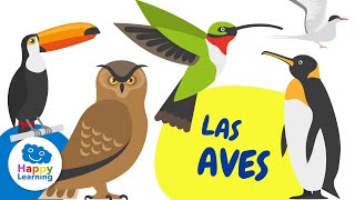 CURIOSIDADES DE LAS AVES  Happy Learning [upl. by Hteb]