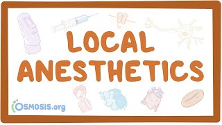 Local anesthetics pharmacology [upl. by Josselyn]