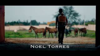 Noel Torres quotQue Tanto Es Tantitoquot Video Oficial [upl. by Nilde]