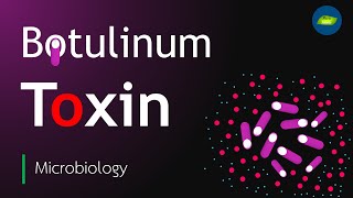 Botulinum Toxin  Botulism toxin  Clostridium botulinum  Basic Science Series [upl. by Rebm]