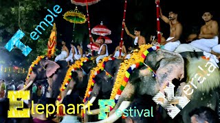 Paripally  Gajamela  Festival  Sree Bhagavathy  Temple  Elephant  Kerala  05 shailpoints [upl. by Ahsi]