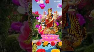 mvideo mvideoapp🌸🏵️🇮🇳🌻🌹🌺 [upl. by Rimidalb]