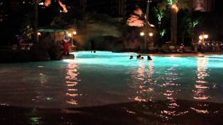 Aulani Disney Resort and Spa at Night [upl. by Finnegan]