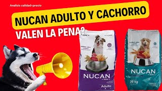 Analisis de Croquetas Nucan Adulto y Cachorro [upl. by Adalia214]