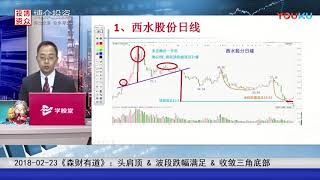 【蔡老师收盘节目】20180223头肩顶 amp 波段跌幅满足 amp 收敛三角底部 [upl. by Nnayllas764]