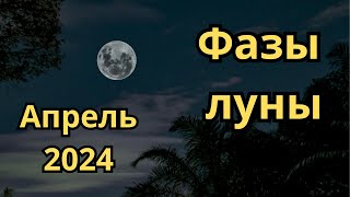 Фазы луны в Апреле 2024 года [upl. by Blithe473]