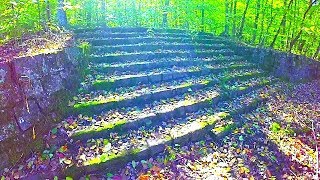 Stairs in the Woods Phenomenon Is Freaking People Out [upl. by Lexy425]