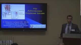 Dr Martin Leland gives a lecture on the Iliopsoas tendon and Hip Arthroscopy [upl. by Ainadi540]