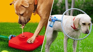 10 MustHave Dog Gadgets Revolutionizing Your Pets Life [upl. by Behrens252]