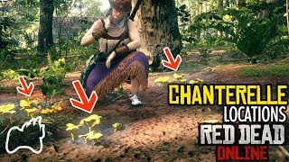 RED DEAD ONLINE Wheres the Chanterelle 8 Locations Found  Daily Challenges  RDO [upl. by Buckler]