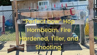 “Perfect bow” Hop Hornbeam Fire Hardened Tiller and disaster With Joe Zummo [upl. by Berck]