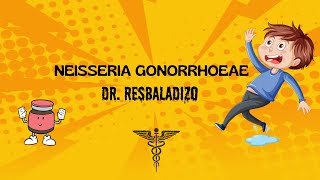 NEISSERIA GONORRHOEAE [upl. by Feriga]