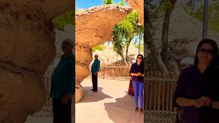 Inside The Most Beautiful Zoo In The World dubai abudhabi al ain zoo [upl. by Parris]