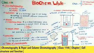 Chromatography Paper amp Column Chromatography Class 11th Chapter Cell structure and function [upl. by Jack]